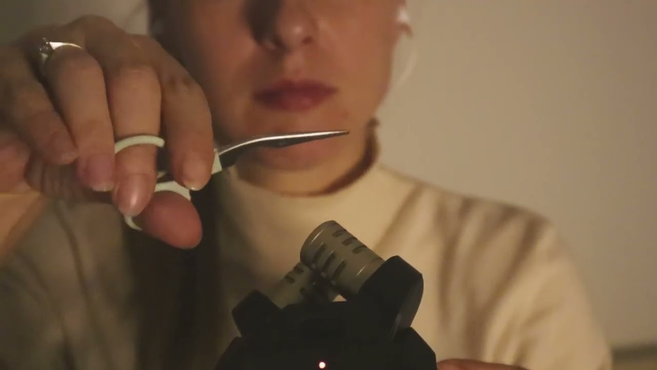 ASMR My First Video with Zoom H6 Essential 🎧 Gentle Mic Brushing & Soft Triggers (No Talking)