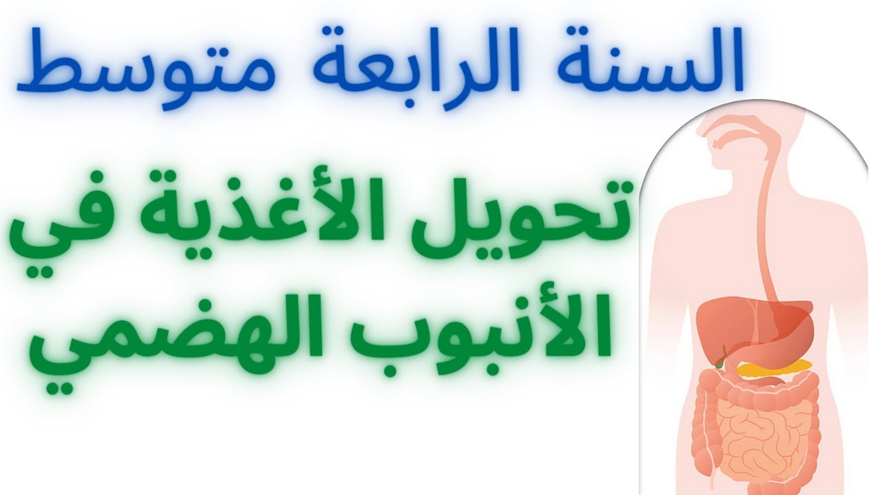 تحويل الأغذية في الأنبوب الهضمي - الجزء 1
