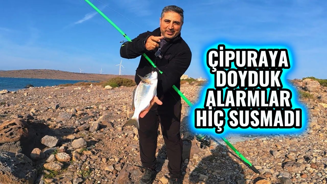 Çeşme çipura avı.. Çipura avında önemli olan yemi doğru takmak..