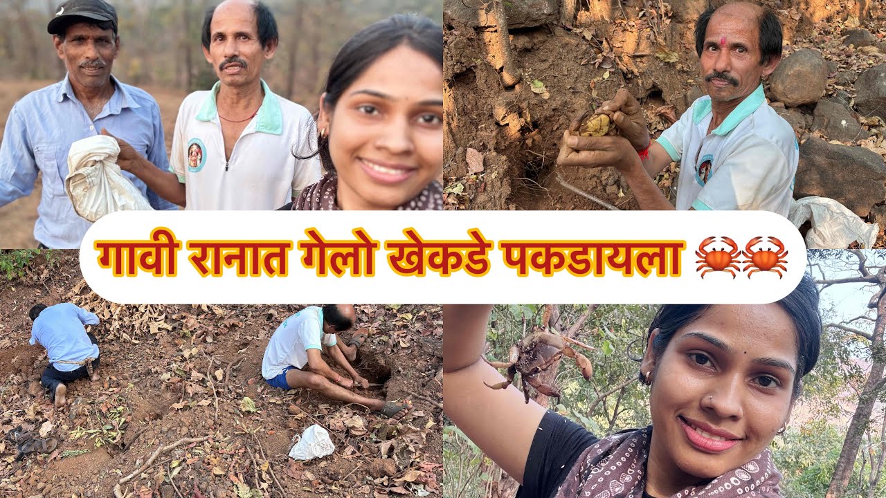 गावी रानात गेलो होतो खेकडे पकडायला. बघा आमच्याकडे उन्हाळ्यात कसे खेकडे पकडतात. #vlog #raigad 