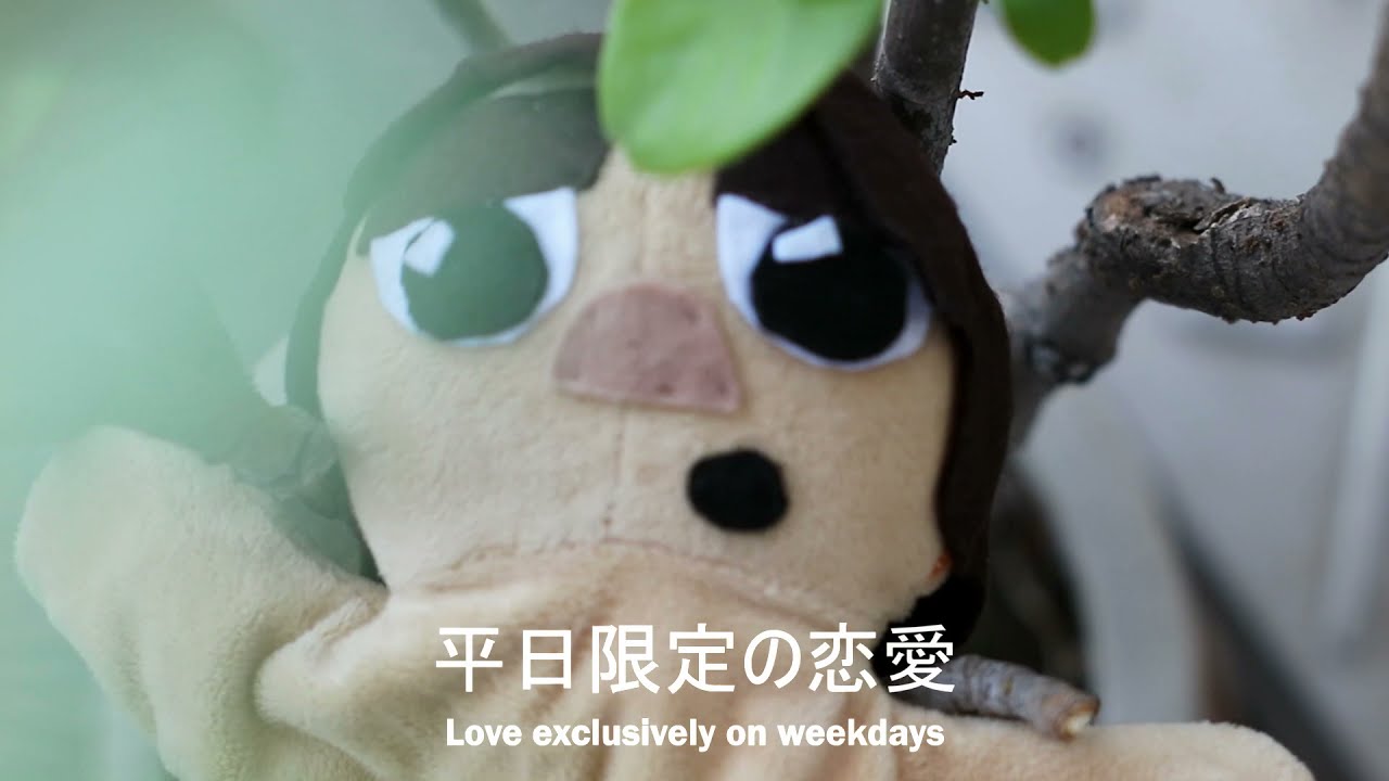 平日彼女 - Taiyo Ky (Lyric Video) | Weekday Girl