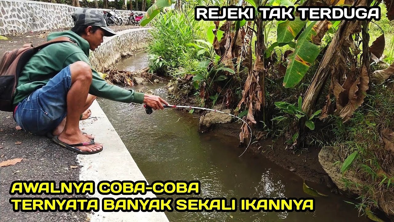 Panen Raya! Mancing Di Selokan Ternyata Banyak ikanya #LM04