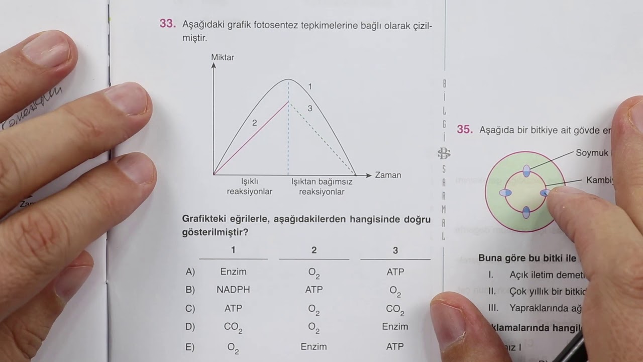 BİLGİ SARMAL AYT BİYOLOJİ DENEME ÇÖZÜMLERİ