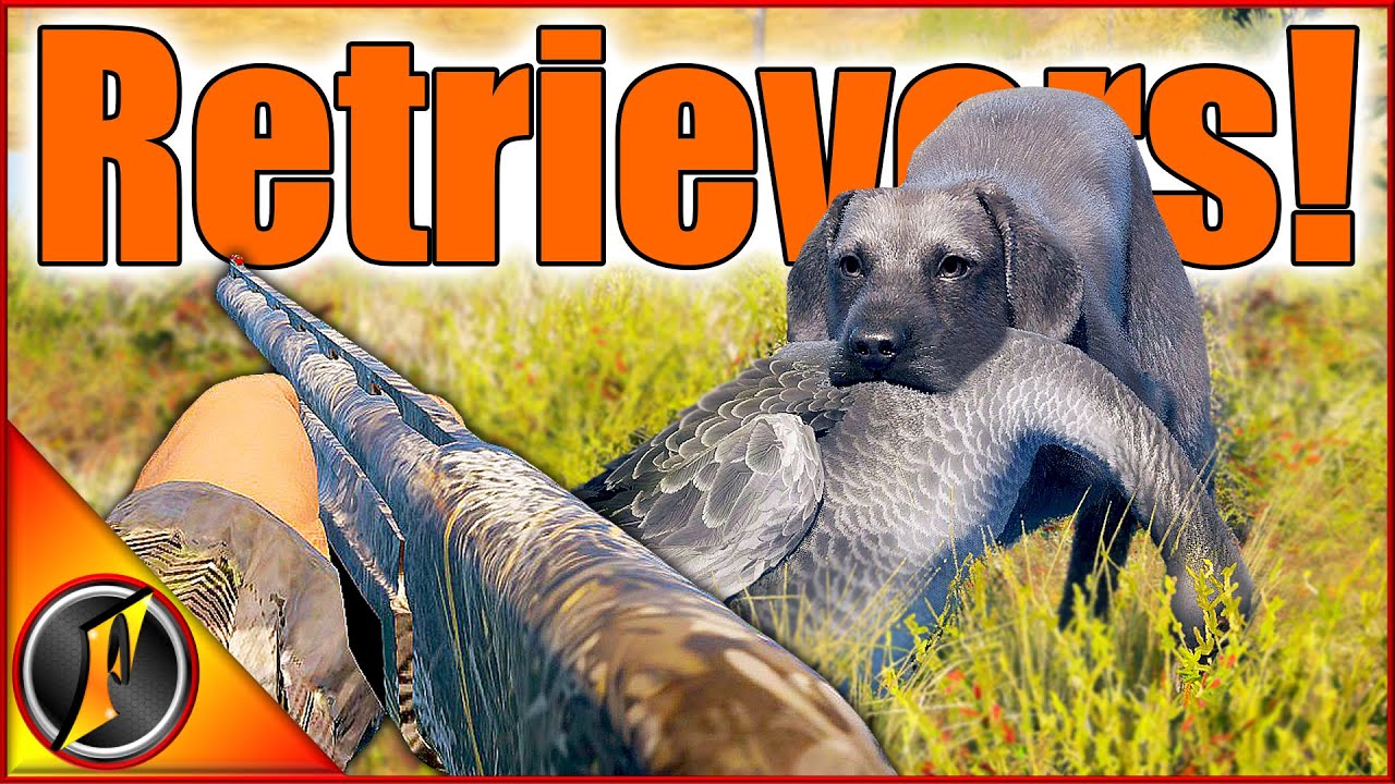 NEW Retrievers FIRST LOOK in theHunter Call of the Wild! [Early Access]