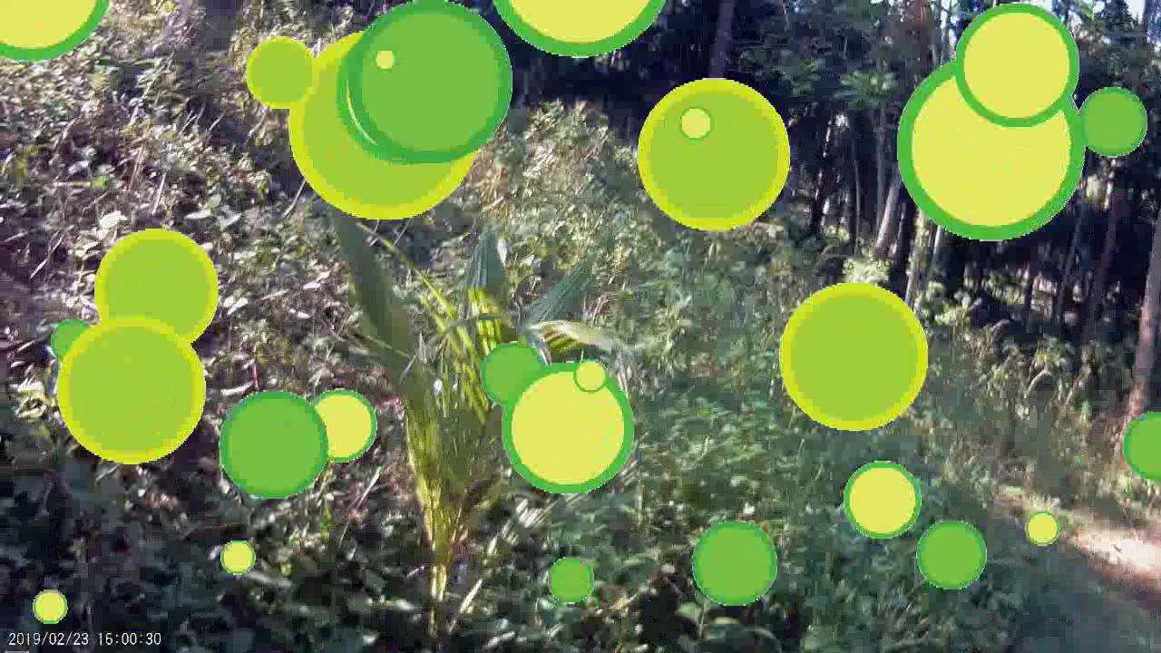Trails in Ozamiz