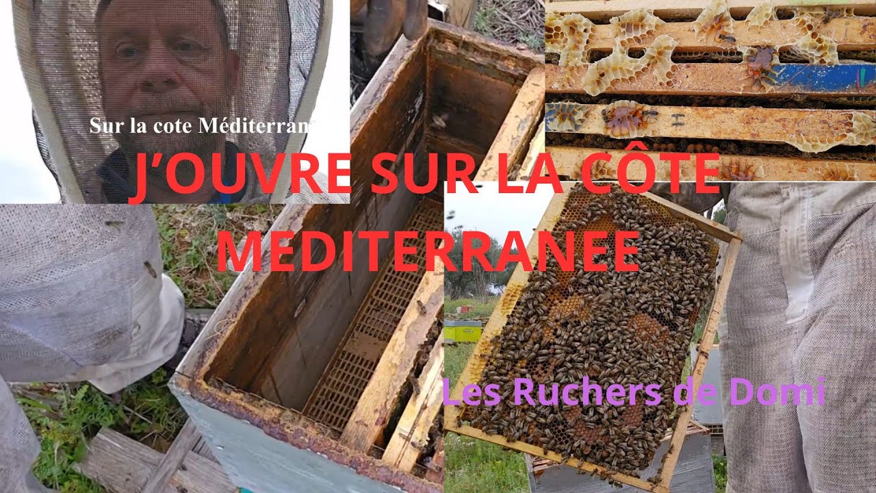 Saison 4 Épisode 4. 22/02/2025. Agrandissement des colonies.