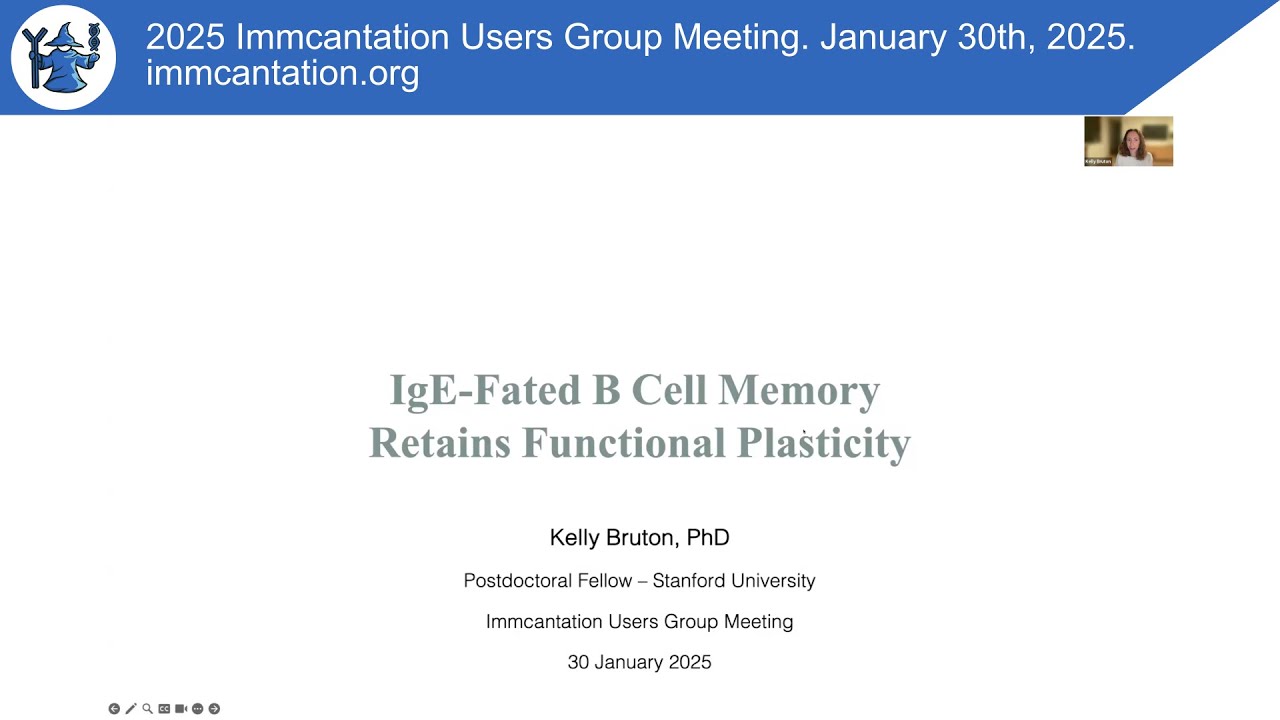 IgE-Fated B Cell Memory Retains Functional Plasticity