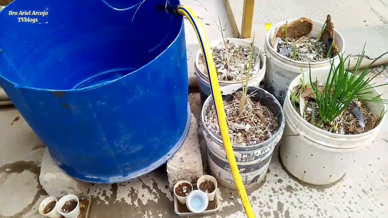 Aquaponics bagong libangan, soon