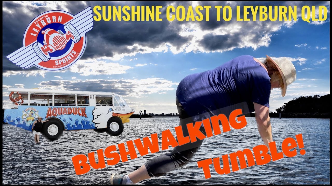 Sunshine Coast to Leyburn Qld