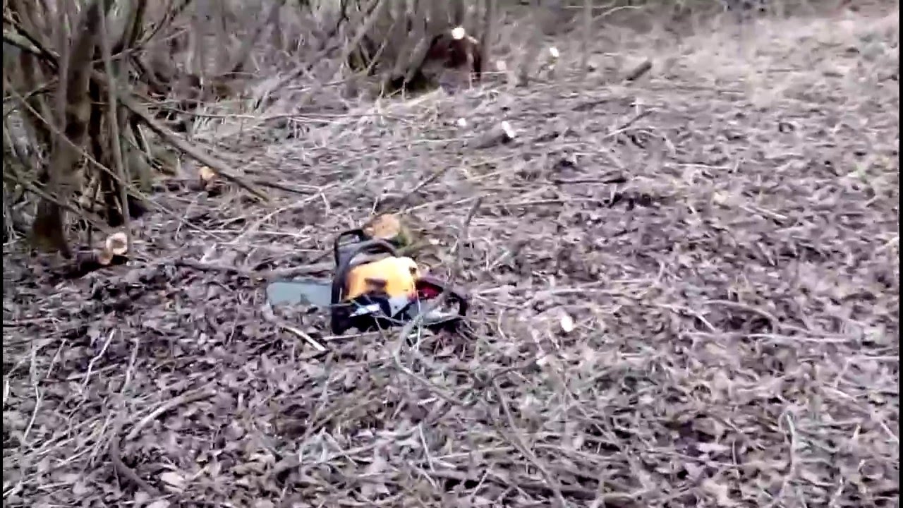 Polska dżungla, karczowanie terenu pod pasieczysko