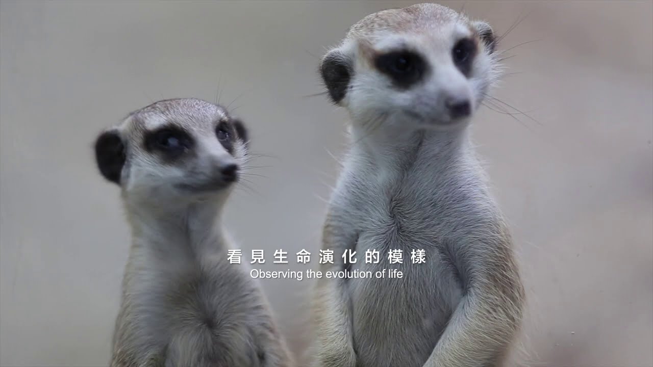 臺北市立動物園 Taipei ZOO 簡介
