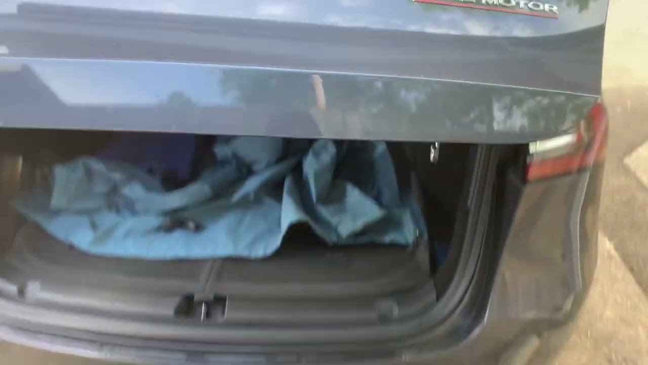 Major Issue with Model Y and water leaking into trunk door card and rear tailgate area - Black Mold