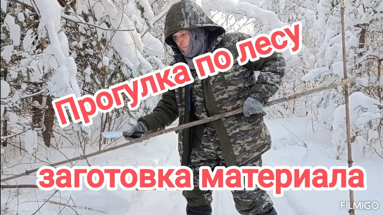 Прогулка по лесу. Заготовка материала. 