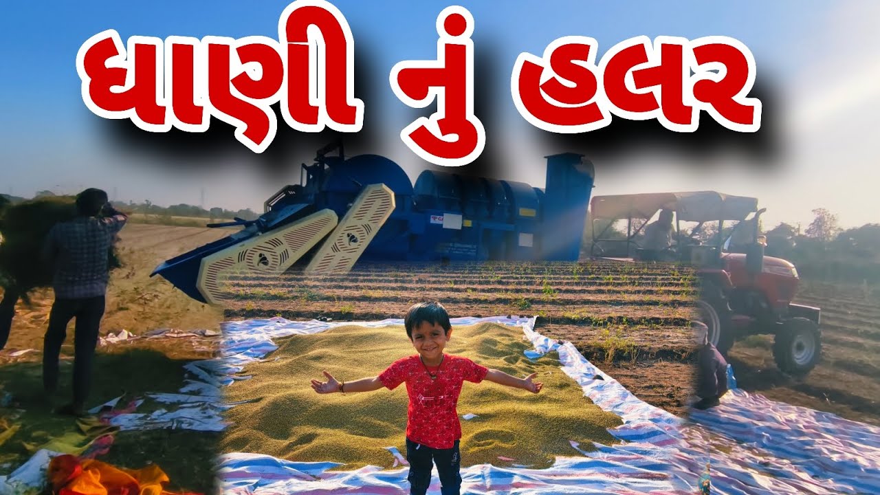 વાડીયે ધાણી નું હલર || vadiye dhani nu halar|| Rk Farm|| ગુજરાતી વલોગ્સ 