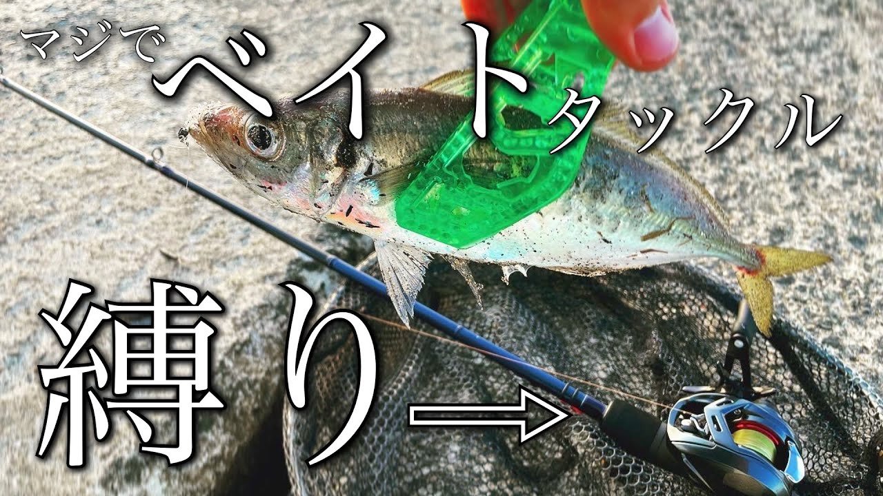 【ブルーカレントⅢ82B】ベイトタックルだけでアジング？！尺クラス量産？？幻の40アップと遭遇？？