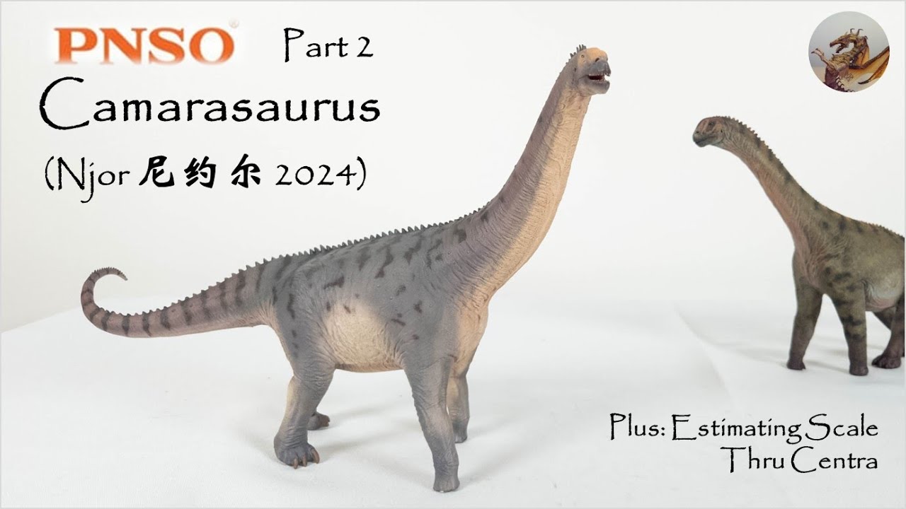 317: PNSO Camarasaurus (圆顶龙尼约尔）Njor 2024 Review Part 2