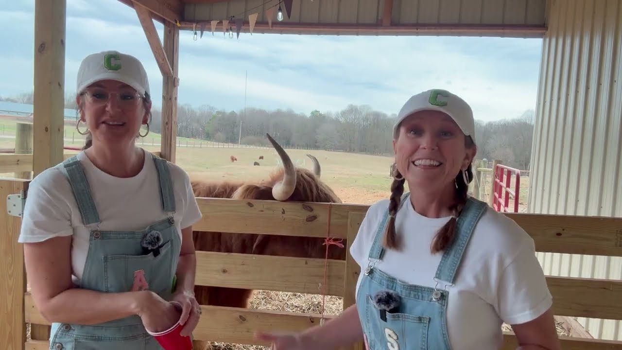 🐮 Letter C Adventure with Highland Cows! 🐮