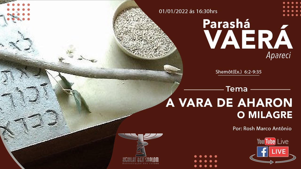 Parashá Vaerá (Apareci) - A VARA DE AHARON / O MILAGRE - 2022/5782