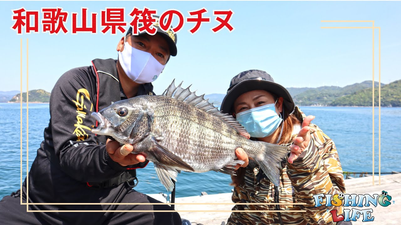和歌山県衣奈　イカダのチヌ攻略
