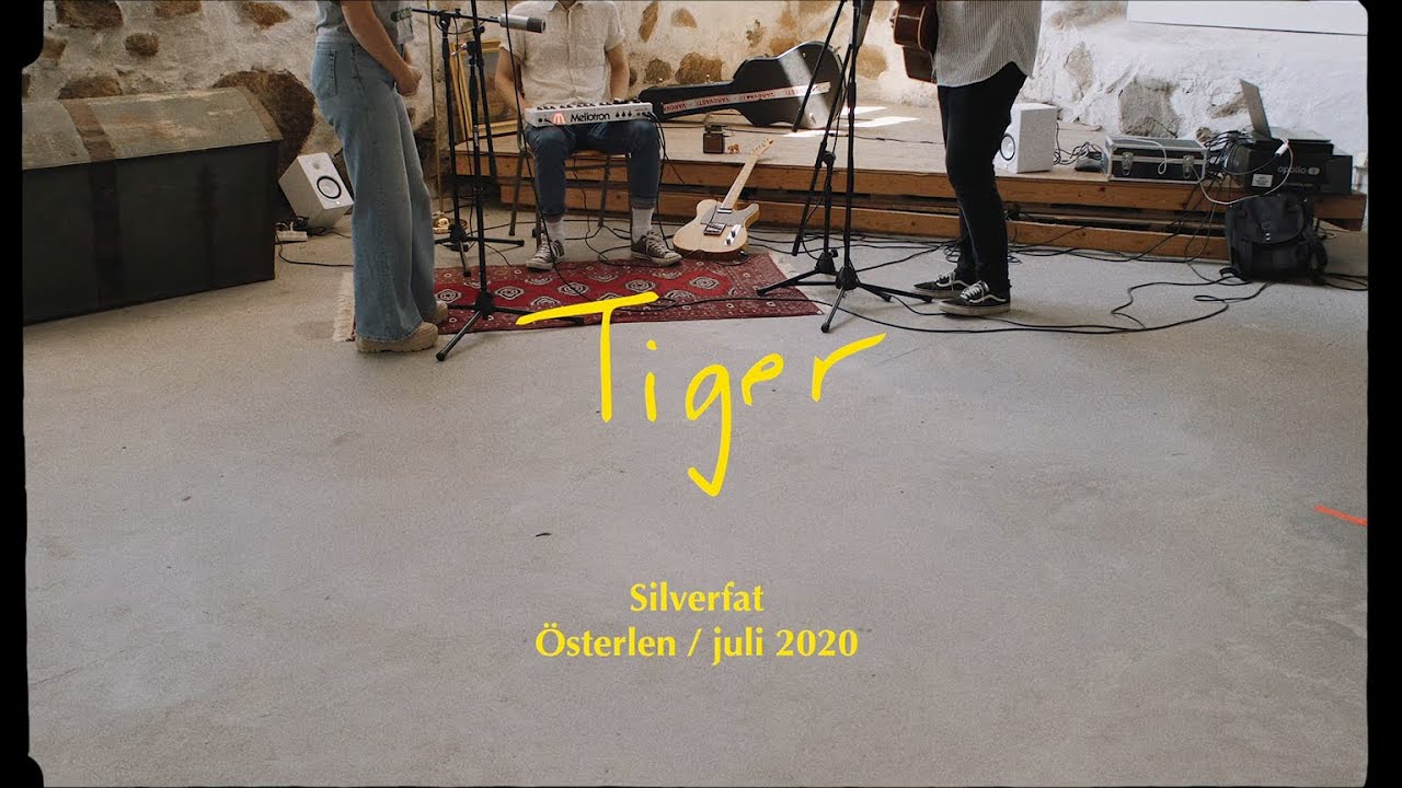 Tiger - Silverfat (Live p&aring; &Ouml;sterlen juli 2020)