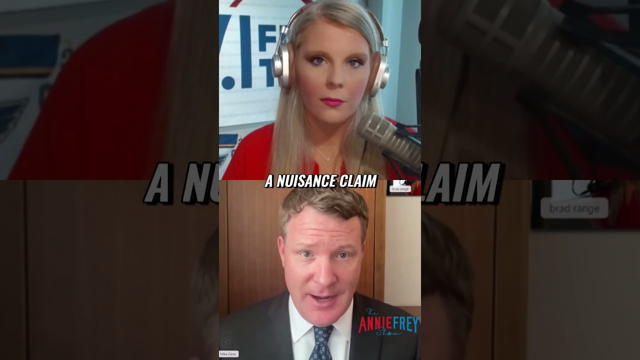 Breaking Down the Alvin Bragg Indictment of Trump | Mike Davis 