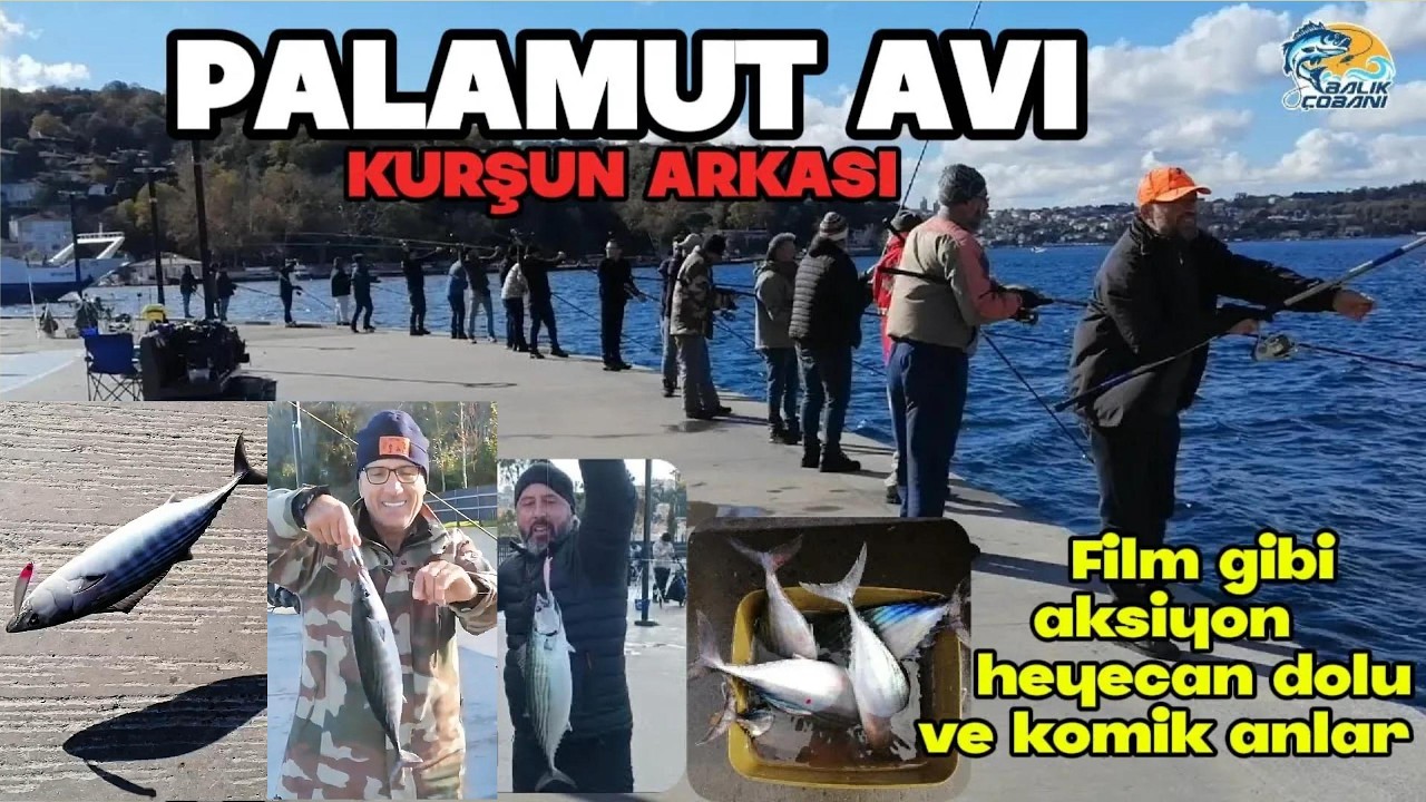 İstanbul Boğazı'nda Kurşun Arkası Palamut Avı! 🎣🐟 Efsaneleri İzlemeye Hazır mıyız? #balık&ccedil;obanı 
