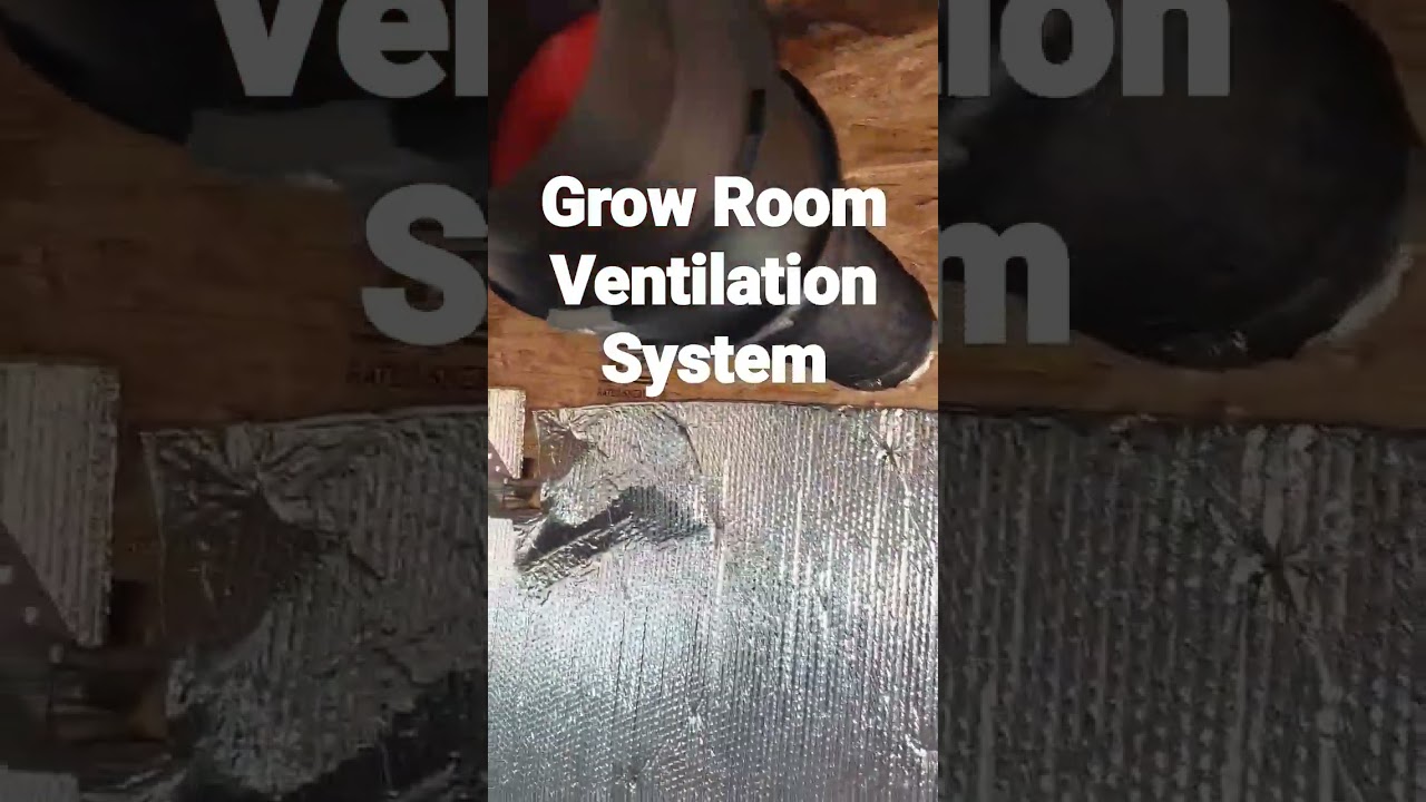 Grow Room Ventilation System Working Perfectly #growroom