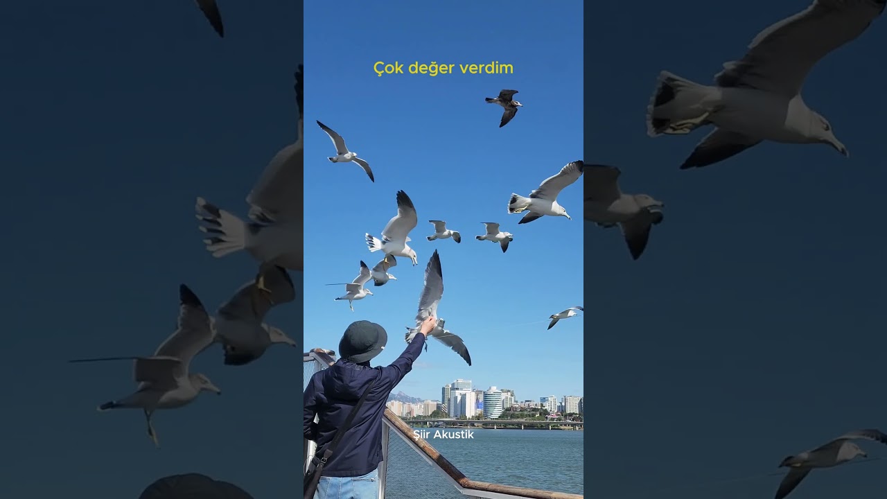 İşine geldiği gibi sever olmuş #siir asaferen #siirabi #asksozleri #şiirokuma #şiir #sevgi #şiirgibi