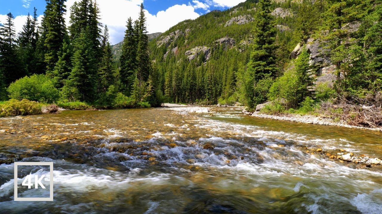 4K Peaceful Mountain River in Evergreen Forest | Absaroka Mountains | River Sounds for Sleeping