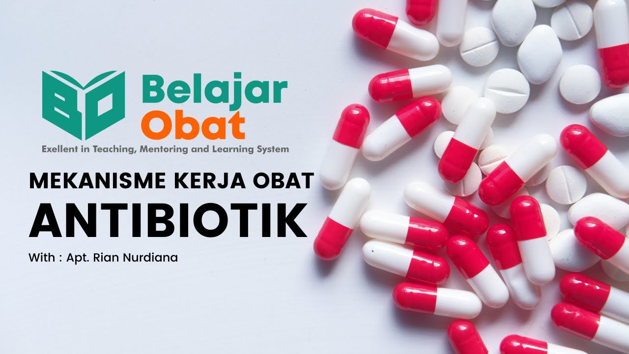 Belajar Obat - mekanisme kerja antibiotik