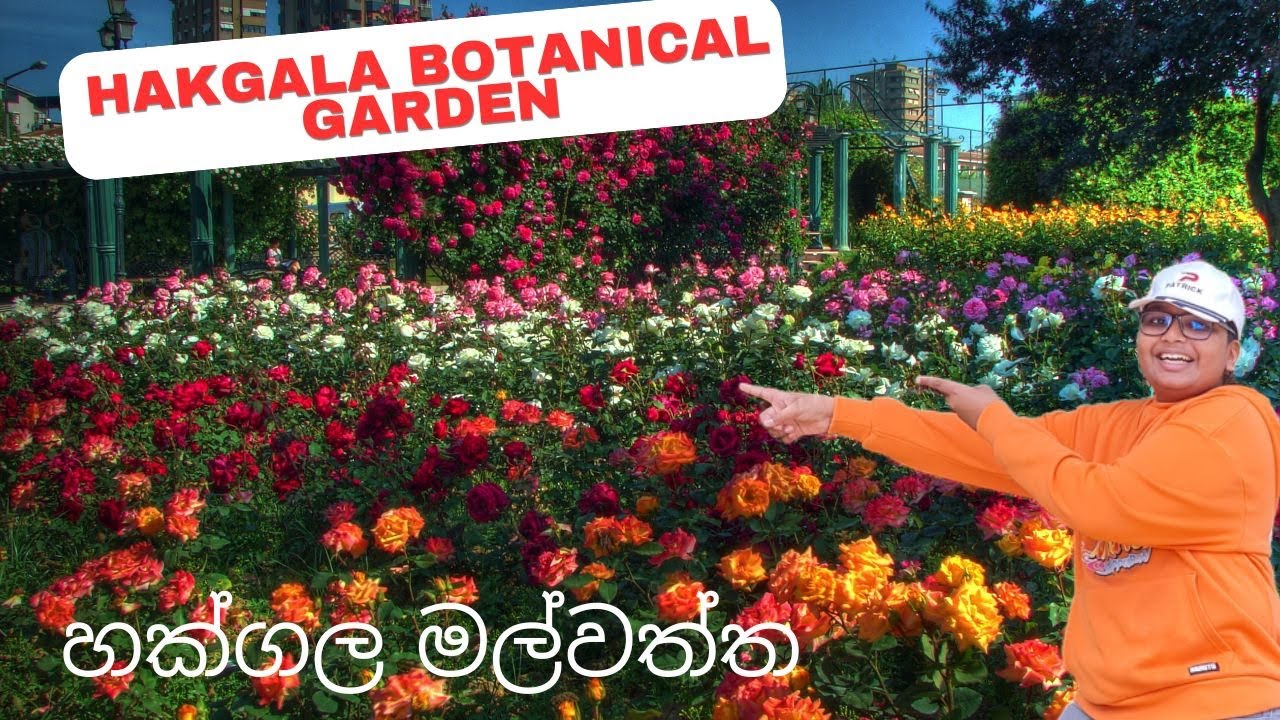 Hakgala Botanical Garden | The Best Places in Sri Lanka | Sri Lanka | Easam&rsquo;s World