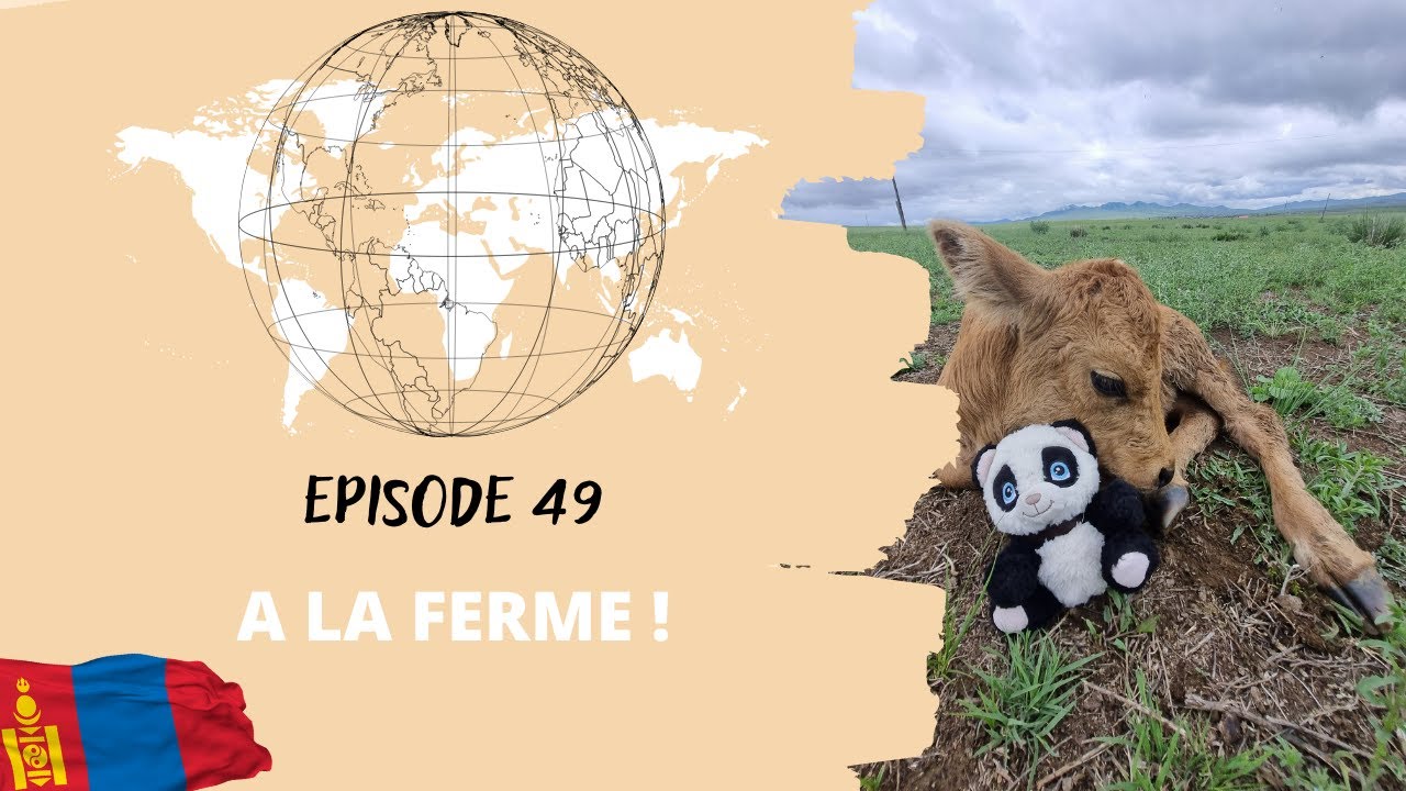 Episode 49 : Bienvenue en Mongolie