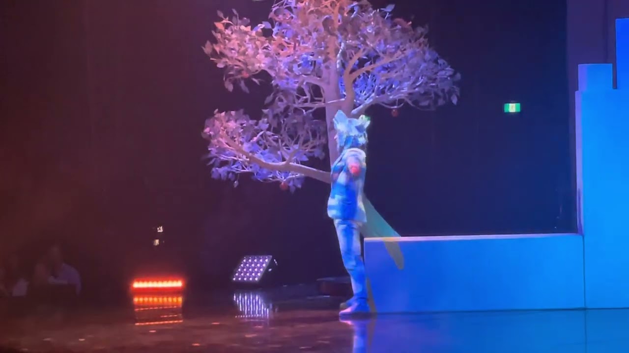 Cirque du Soleil (Echo) ~Toronto,Canada