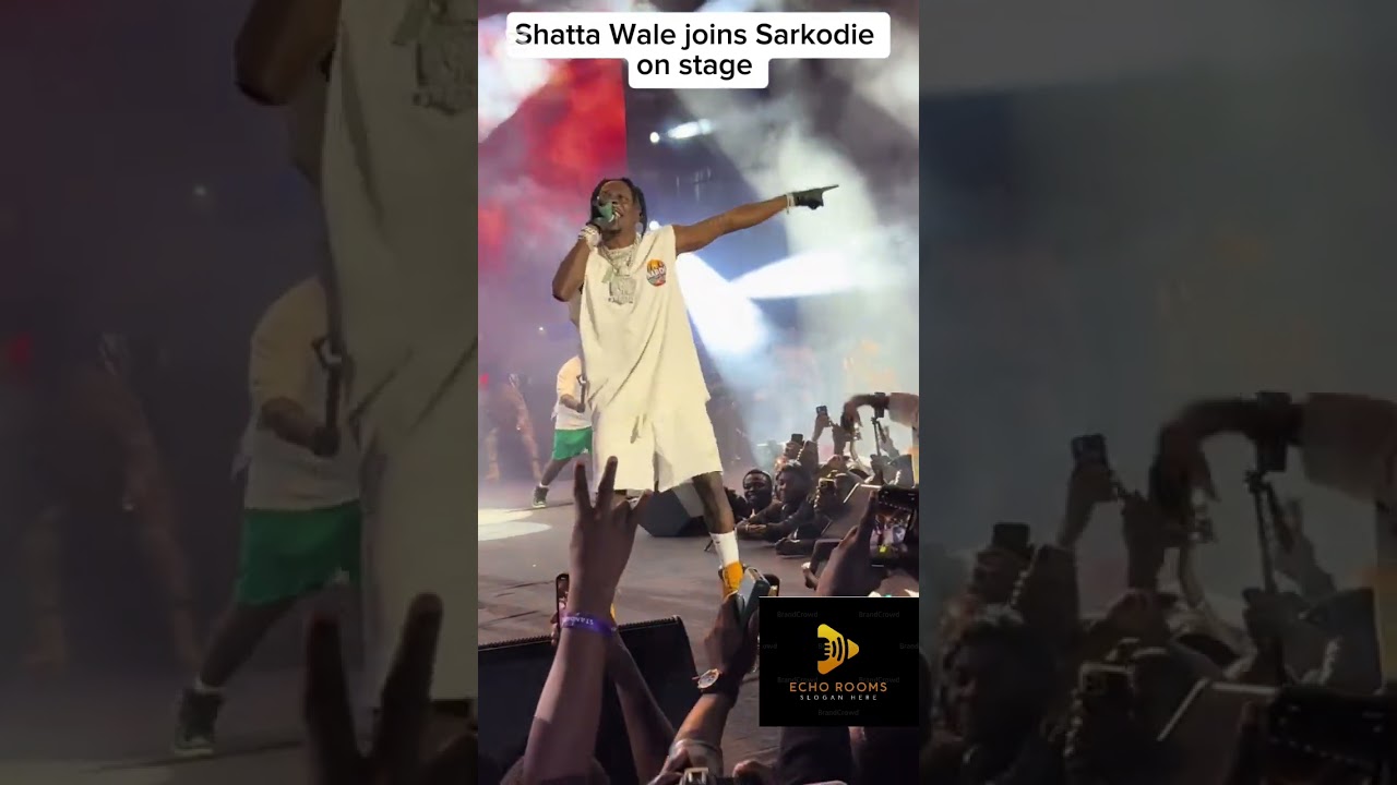 Shatta Wale joins Sarkodie on stage #rapaholic  #sarknation #shattamovement #entertainmentnews