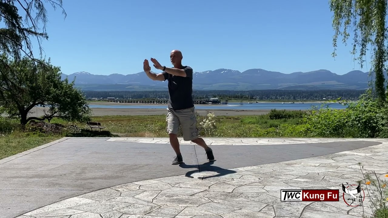 Needle in Cotton - Pak Hok Pai Kung Fu