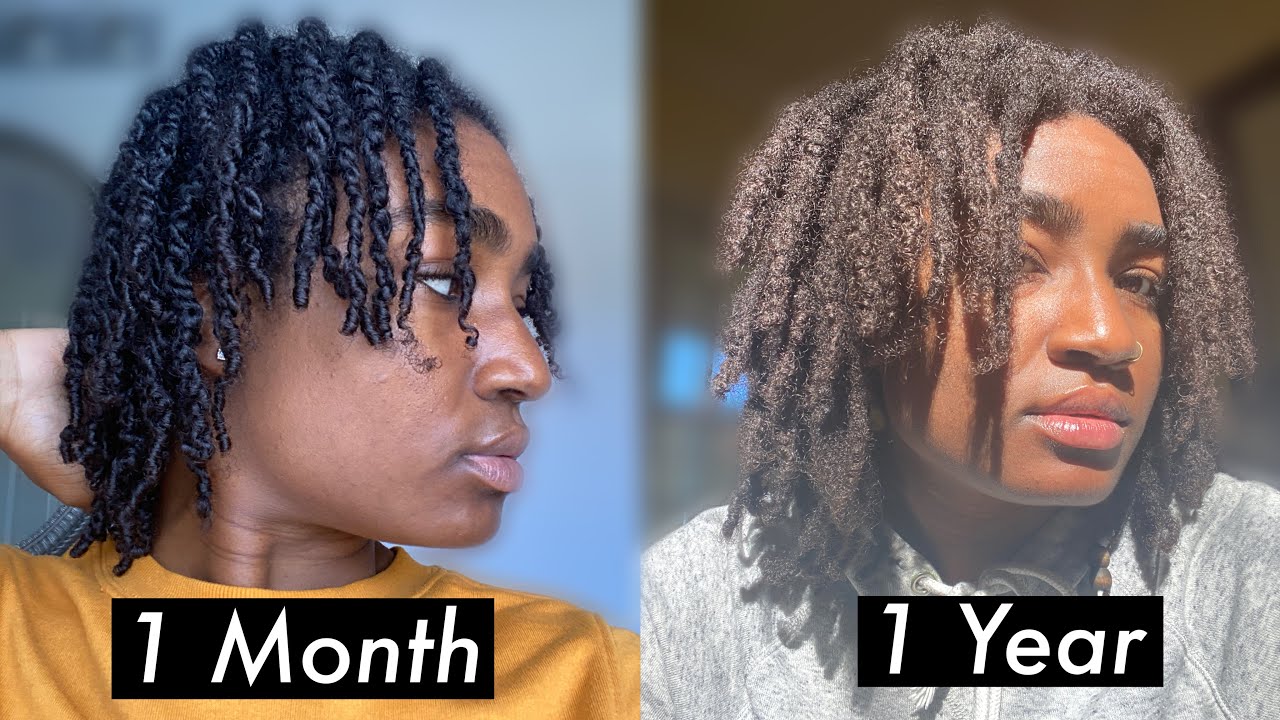 1 Year Visual Loc Journey- Semi Freeform Locs