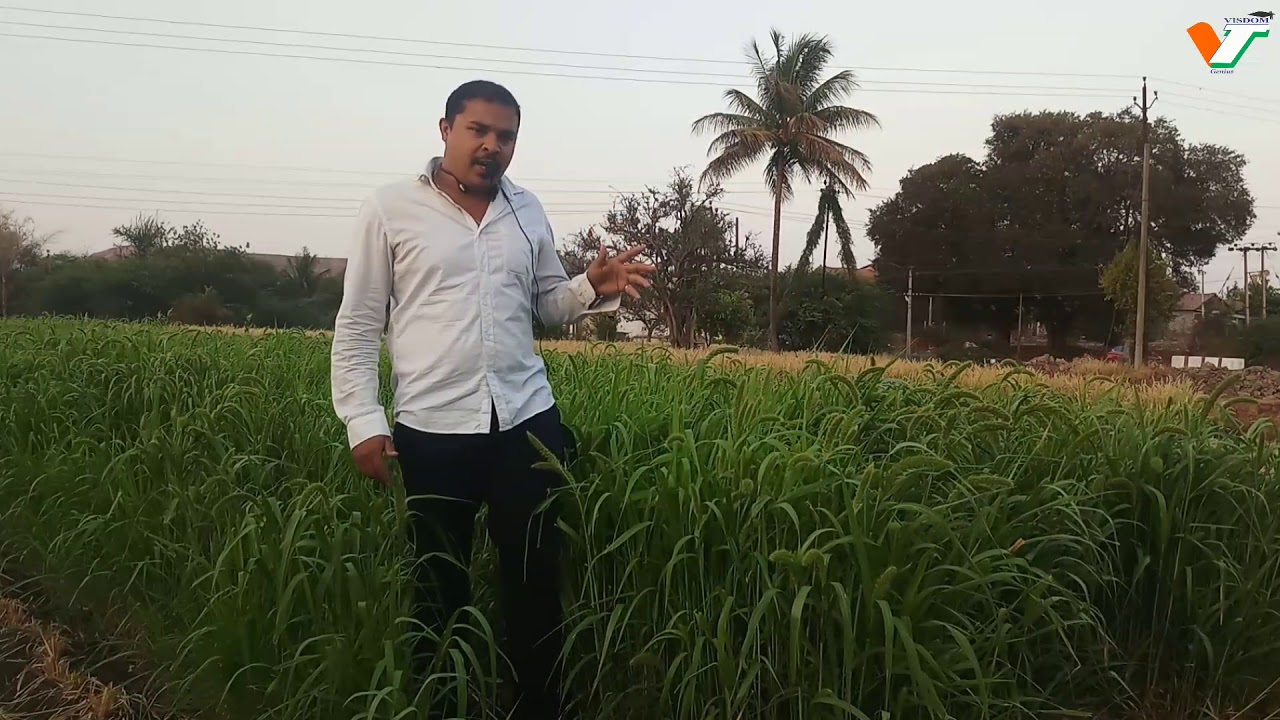 Agriculture practical test for Puc science students