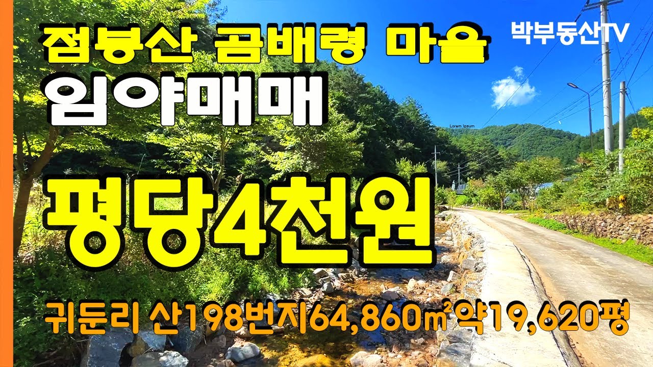 [2036] 평당4천원 약19,620평 7848만원_점봉산 곰배령마을 임야매매 귀둔리  - 박부동산TV