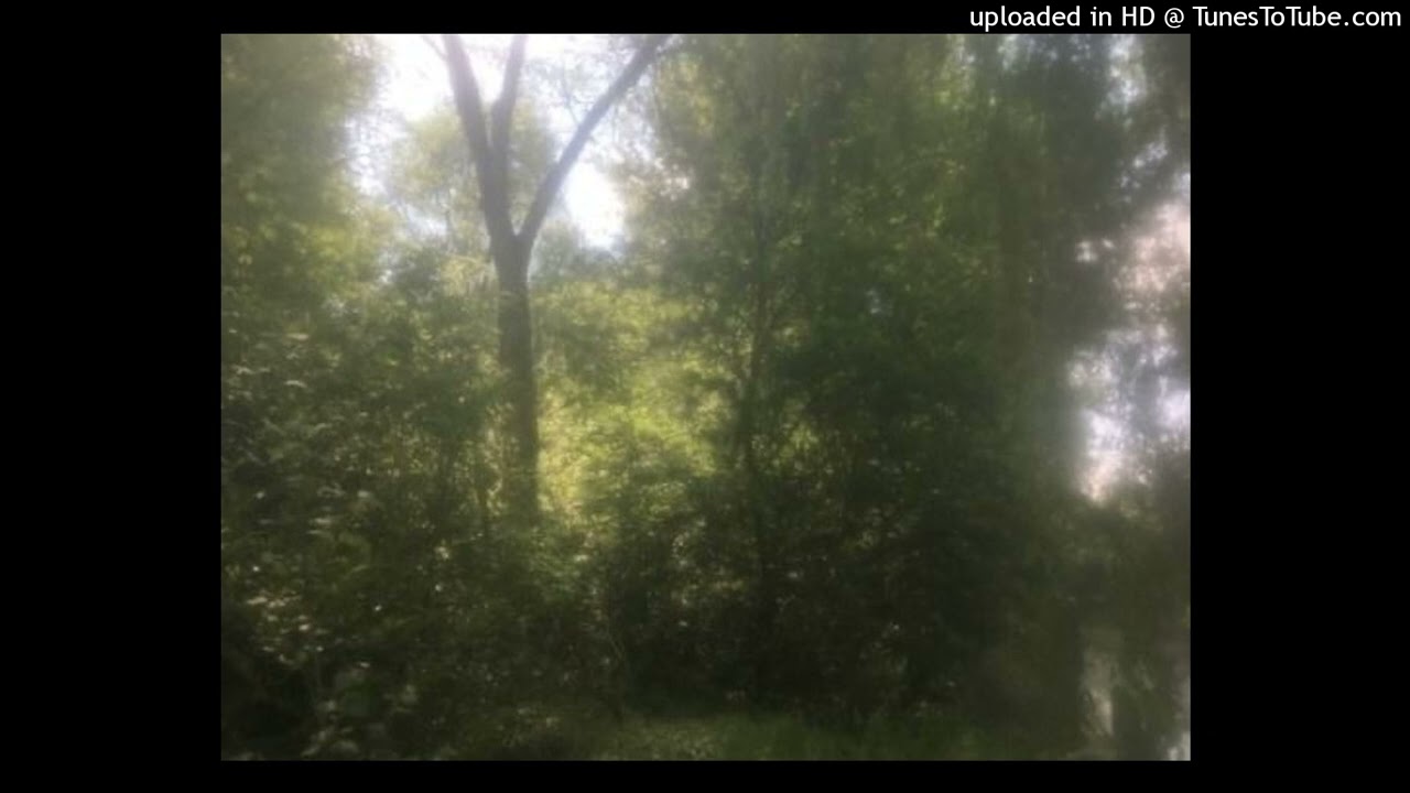 ‎