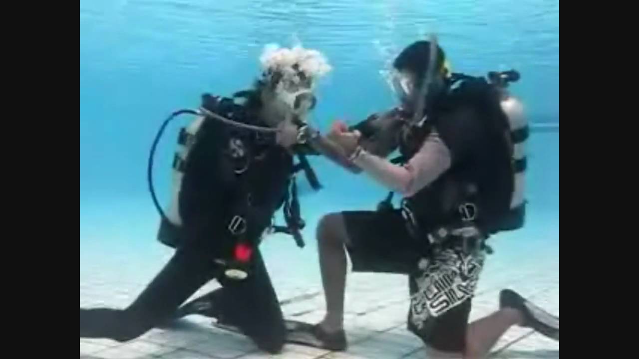 Learn to Scuba Dive - Buddy Breathing (PADI Air Sharing)