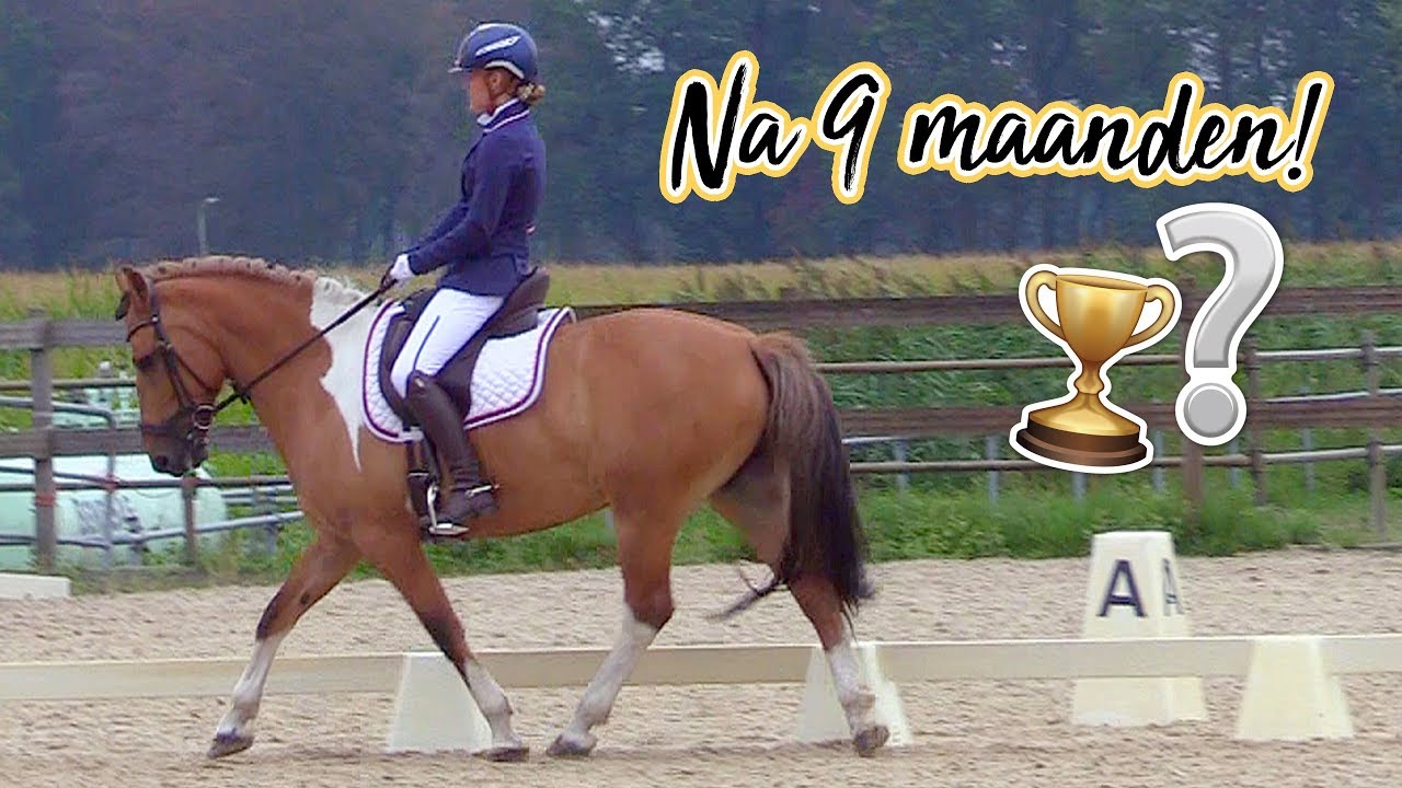 Na 9 maanden weer in de dressuurring! | felinehoi VLOG #128