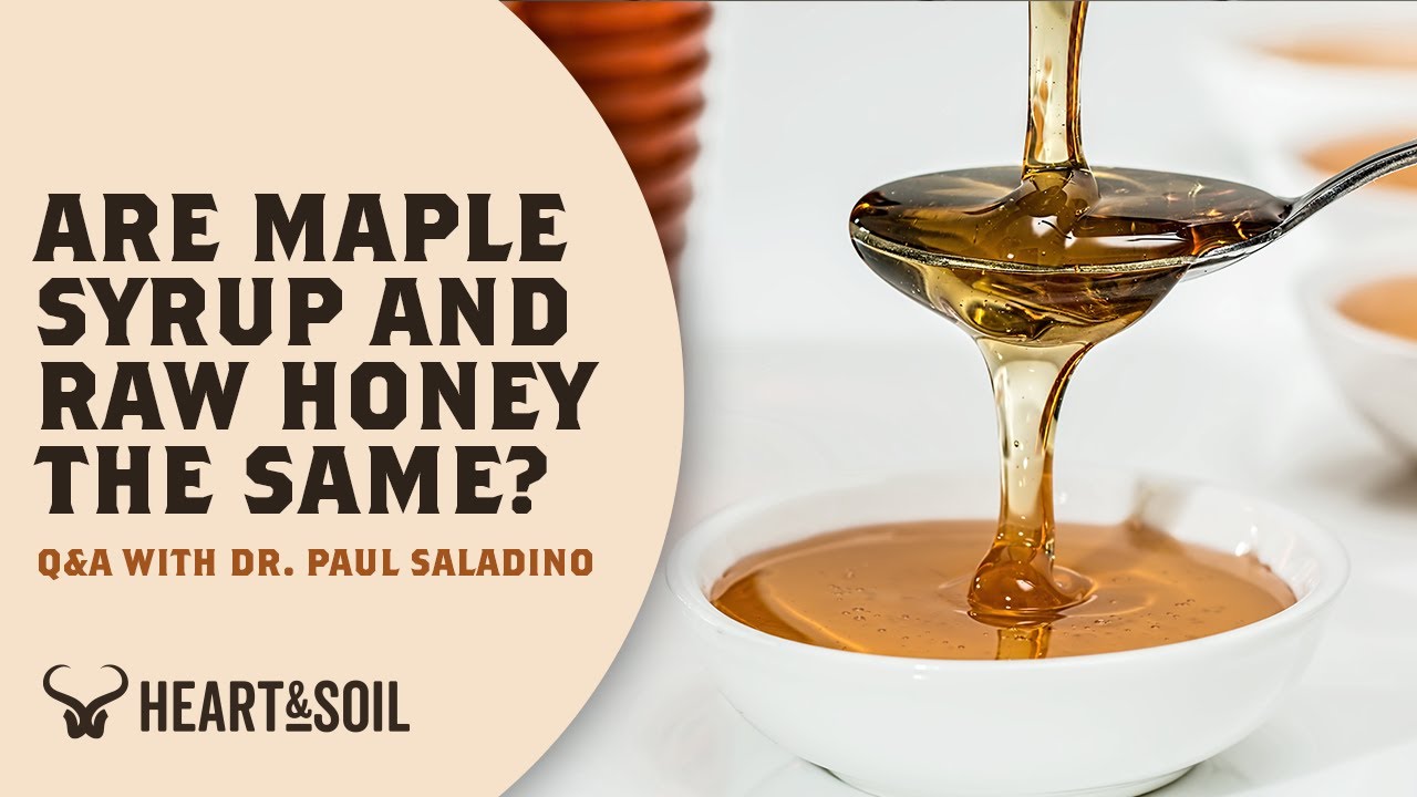 Is Maple Syrup Just as Good as Raw Honey? | Q&A With Dr. Paul Saladino