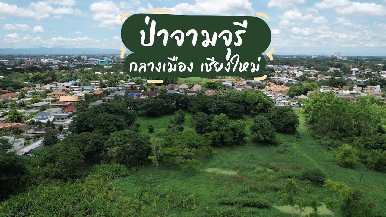 มหัศจรรย์ ป่ากลางเมือง เชียงใหม่ ที่ดิน ถ.ทุ่งโอเต็ล วัดเกต อ.เมือง เชียงใหม่ ต้นไม้สวยมาก 14 ไร่