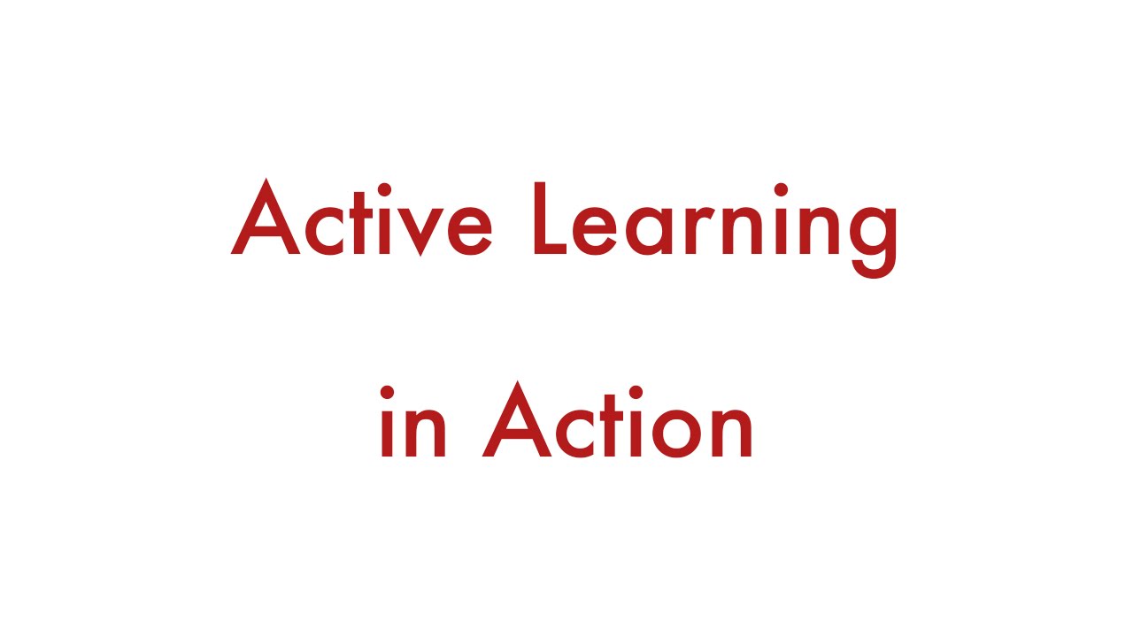 Active Learning in Action