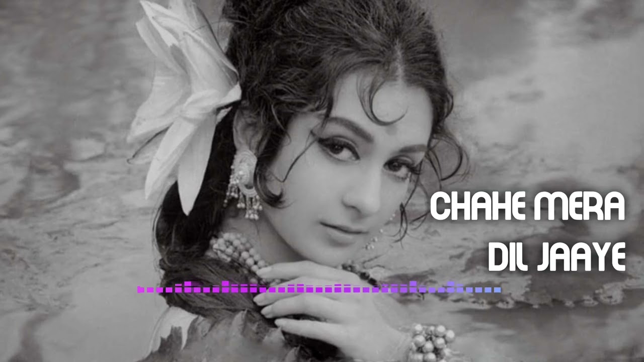CHAHE MERA DIL JAAYE (HIRA PANNA ) 90s version song 