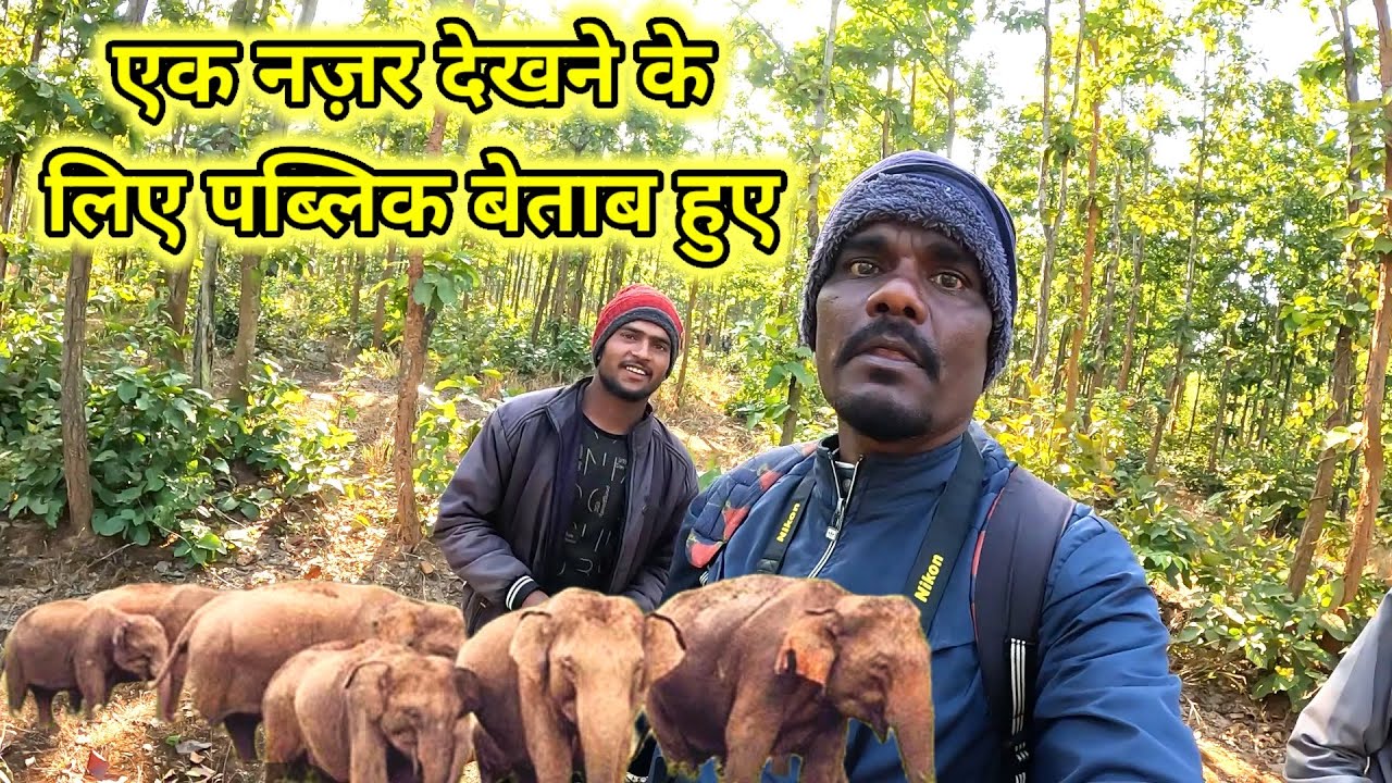 एक नज़र देखने के//लिए पब्लिक बेताब हुए 