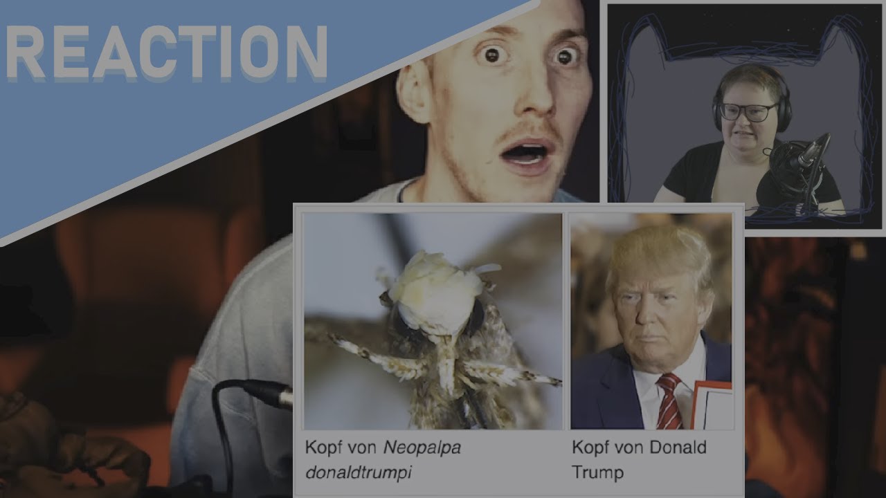 Reaction auf Malternativ - Insekten die WIE HEIẞEN?!