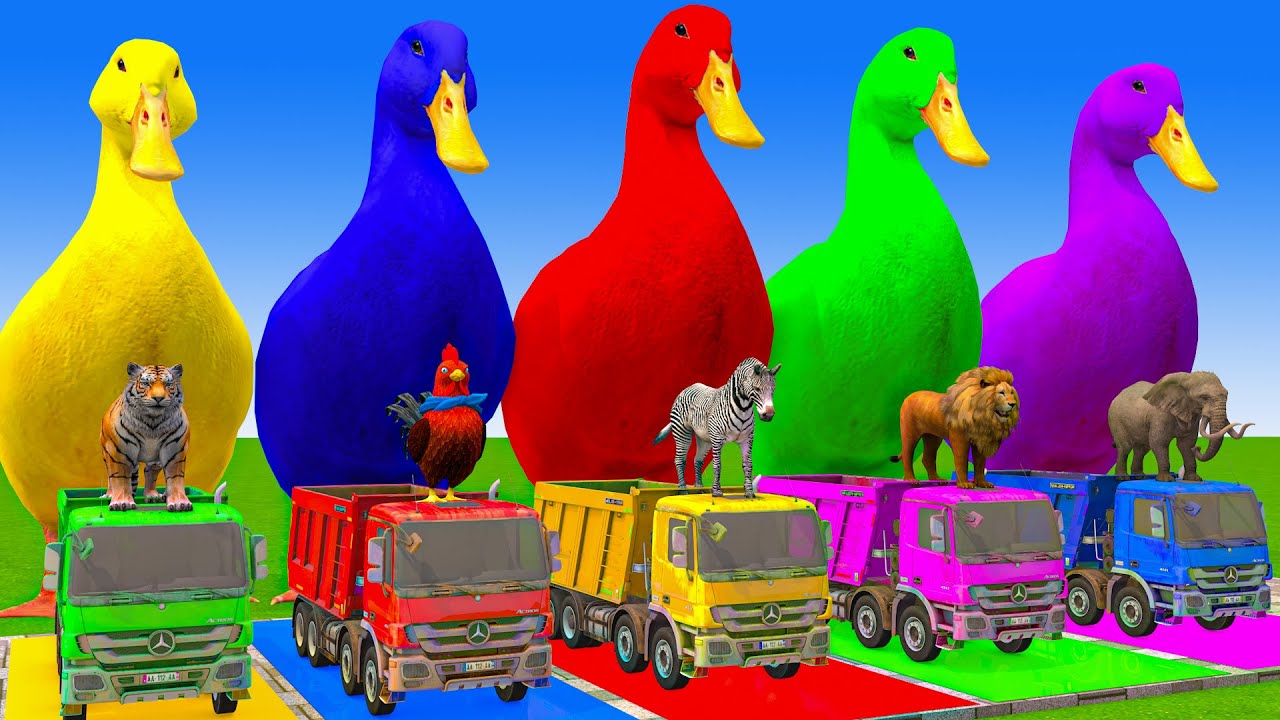 5 Giant Duck Cartoon,Cow,Mammoth,Tiger,Lion,Dinosaur,Paint Wild Animals Crossing Fountain Animation