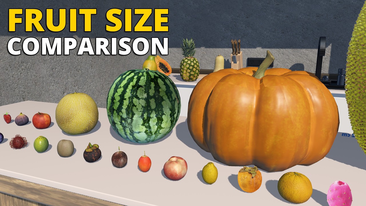 Fruit Size Comparison in 3D | How Big Are Fruits Really?