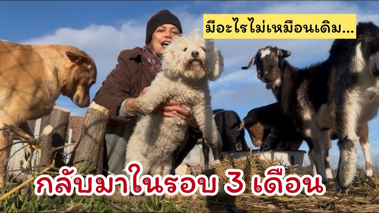 EP.757| มีเรื่องเศร้าเกิดขึ้นมากมาย | อับเดทชีวิต ในรอบ 3 เดือน 